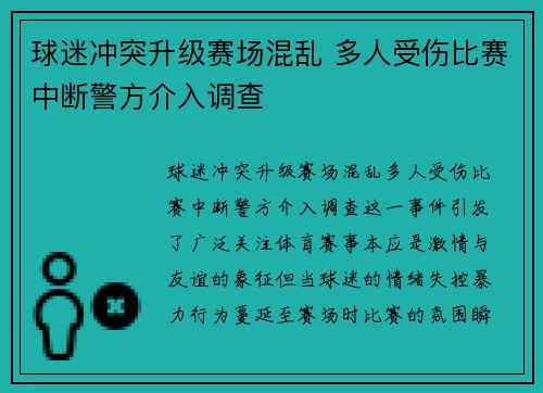 球迷冲突升级赛场混乱 多人受伤比赛中断警方介入调查